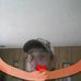 Tracy Epley - Facebook