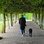 Tracy Fallon - @tracyfallon65 - Instagram