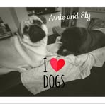 Tracy Fallon - Facebook