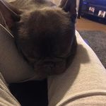 Tracey Farrington Tyrer - @tracey_tyrer - Instagram