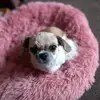 Tracy Farrington Lovatt - @tracy290264 - TikTok