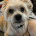 Tracy Farthing - Facebook