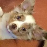 Tracy Fields - @tfields1618 - Instagram