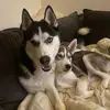 Tracey Findlay - @tracey.findlay - TikTok