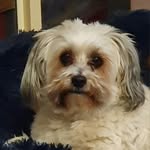 Tracy Findlay Hetherington Bowden - @trixie1271 - Instagram