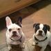 Tracy Fitch - Facebook