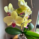 Tracy Lee Fitch - @tracy.fitch.9 - Instagram