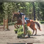 Tracy Fitzpatrick - @wabassetmom - Instagram