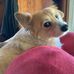 Tracy Fitzpatrick - Facebook