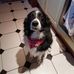 Tracy Fitzpatrick - Facebook