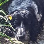 Tracy Fitzpatrick - @fitzpatrick7960 - Instagram
