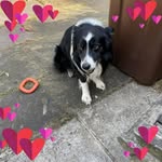 Tracy Fitzpatrick - @tracyfitzpatrick83 - Instagram
