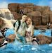 Tracee C Flanders - Facebook