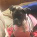Tracey Flanders - Facebook