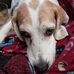 Tracy Flanders - Facebook