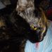 Tracy Flanders - Facebook