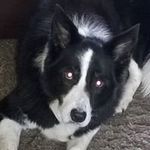 Tracy flannery - @ta.flannery - Instagram
