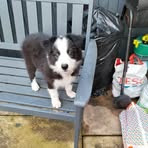 Tracy Flannery - Facebook