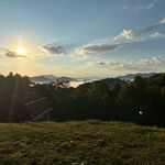 Tracy Flannery - @tracerflannery - Instagram