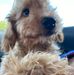 Tracy Flannery - Facebook
