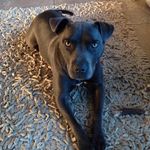 Tracy Flint - @flinty321 - Instagram