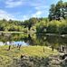 Save Tracy Pond and Forest - Facebook
