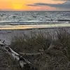 tracyfrittssexton - @tracyfrittssexton - TikTok