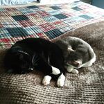 Tracy Fulton - @tracylfulton - Instagram