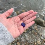 Tracy Gajewski - @tmgski - Instagram