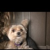 duet.com - @tracythomasgallaway - TikTok