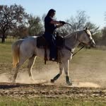 Tracy Gann Ponton - @pontontracy - Instagram