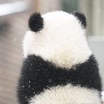 @tracy_gao0525 - Instagram