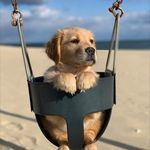 Tracy Gao - @yag733 - Instagram