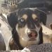 Tracy Gaunt - Facebook
