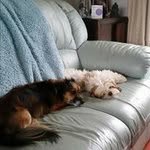@tracy_gauntlett - Instagram