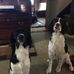 Tracy Keiser - Facebook