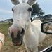 Tracy Gentile - Facebook