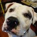 Tracy Gilliard - Facebook