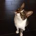 Tracey Glaze - Facebook