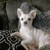 Tracy Glenn - @tracy.glenn2 - TikTok