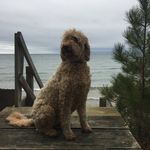 Tracy Goble - @tracygo17 - Instagram
