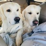 Tracy Goble Henige - @tracydarlene18 - Instagram
