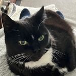 Tracy Goddard - @tracy.goddard.378 - Instagram