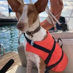 Tracy Goddard - @tracy.goddard.509 - Instagram