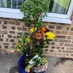 Tracy Goddard - @tracy.goddard.167 - Instagram