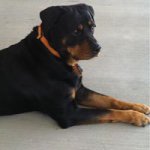 Tracy Goddard Russell - @tracybob0101 - Instagram