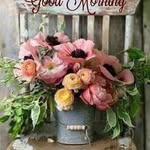 Tracy Goggans - @tlgoggans - Instagram