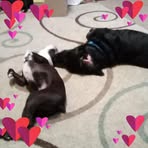 Tracy Goodenough - Facebook