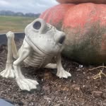 Tracy Grasso - @tracy_grasso - Instagram