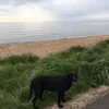 Tracy Gray - @tracy01235 - TikTok